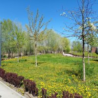 В ростовском экопарке :: Нина Бутко