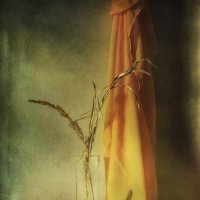 *** :: Oleg Rastorguev