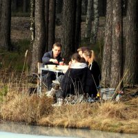 Весенний пикник :: Юрий Велицкий