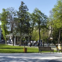 Отдых в парке :: Валентин Семчишин