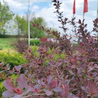 ,,, :: Сергей Тимоновский