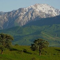 БОЛЬШОЙ ЧИМГАН, 3300м, вид со стороны. :: Виктор Осипчук