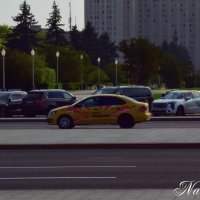 *** :: Наталья Вязигина