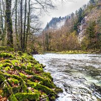 Течение :: Eugene *