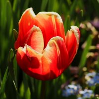 Какой хороший день :: Юрий. Шмаков