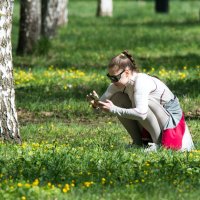 Цветочки. :: Владимир Безбородов