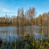 ВЕСНА,ВЕСНА,ВЕСНА 5 ... :: Андрей Дворников ВЕСНА,ВЕСНА,ВЕСНА 5 ... :: Андрей Дворников