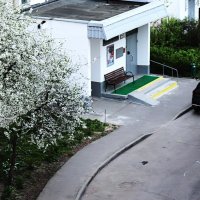 Приоритет белого. :: Василий Палий