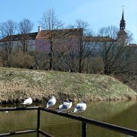 Посиделки у пруда Шнелли :: Veera V