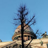 проходя мимо. :: Игорь Корф