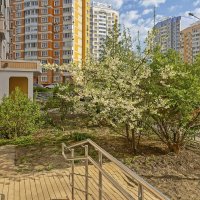 Утром вышел я во двор :: Валерий Иванович