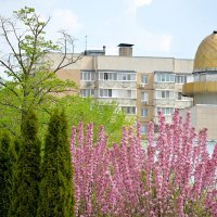 У обсерватории :: Сеня Белгородский У обсерватории :: Сеня Белгородский