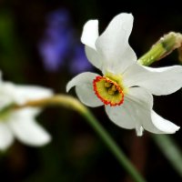 Доброе утро :: Юрий. Шмаков