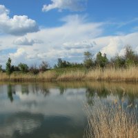 Донские виды. :: Виктор 