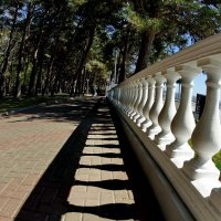 Свет и Тень.. :: Николай Саржанов