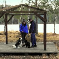 Весенний выгул :: Юрий Велицкий Весенний выгул :: Юрий Велицкий