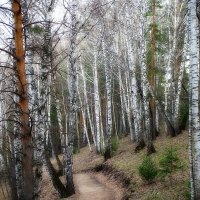Терренкур :: Павел Трунцев
