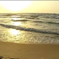 111 (36) :: СТРЕН 