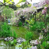 ЧЕРЕПАШЬЕ ОЗЕРО :: Tata Wolf