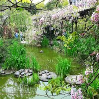 ЧЕРЕПАШЬЕ ОЗЕРО :: Tata Wolf ЧЕРЕПАШЬЕ ОЗЕРО :: Tata Wolf