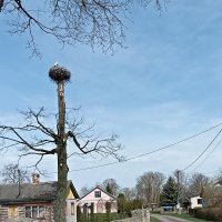 Прилетели! :: Veera V Прилетели! :: Veera V