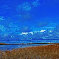 Май...Голубой день на Юганской Оби! :: Владимир 