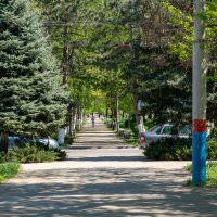 Весенний город :: Игорь Сикорский