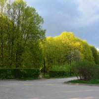 На развилке аллей :: Александр Буянов