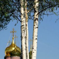 Парк Зарядье :: александр 