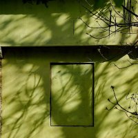 Окна бывают разные... :: Николай Саржанов