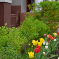 У подъезда :: Сеня Белгородский