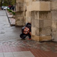 чебурашка :: Дмитрий Лупандин