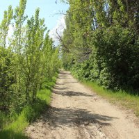 Мои дороги. :: Виктор 