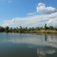 Донские виды. :: Виктор 