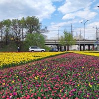 ,,, :: Сергей Тимоновский