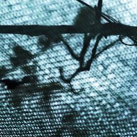 Через сетку :: Юрий Гайворонскiий