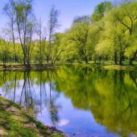 Весна :: Наталья Лакомова Весна :: Наталья Лакомова