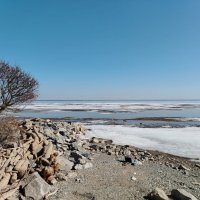 Водохранилище  в городе Новосибирска :: Валентина Богатко 