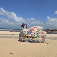 На берегу моря. :: Светлана Хращевская