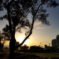 На закате. :: Светлана Хращевская На закате. :: Светлана Хращевская