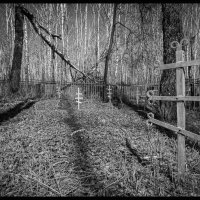 Заброшенное деревенское кладбище. :: Борис Яковлев