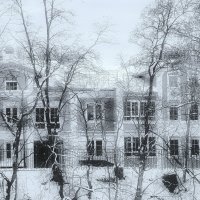Снежный апрель... :: Владимир Шошин