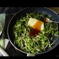 111 (43) :: СТРЕН 