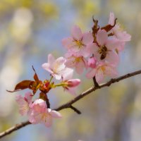 Пробуждение... :: Владимир Жданов Пробуждение... :: Владимир Жданов