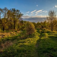 Весенний вечер :: Андрей Дворников
