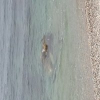Море :: Варвара 