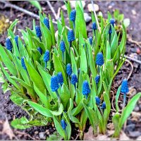 Неторопливая весна... :: Aquarius - Сергей