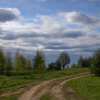 Сельская дорога :: Дмитрий И_
