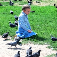 ПТИЧКА ТЫ БОЖЬЯ :: Юрий Вовк