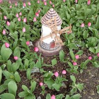 ***** :: Елена Семигина